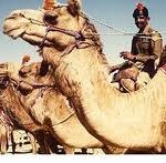 Royal Rajsthan Khajuraho Temples With Taj Mahal 8 Night /9 Days