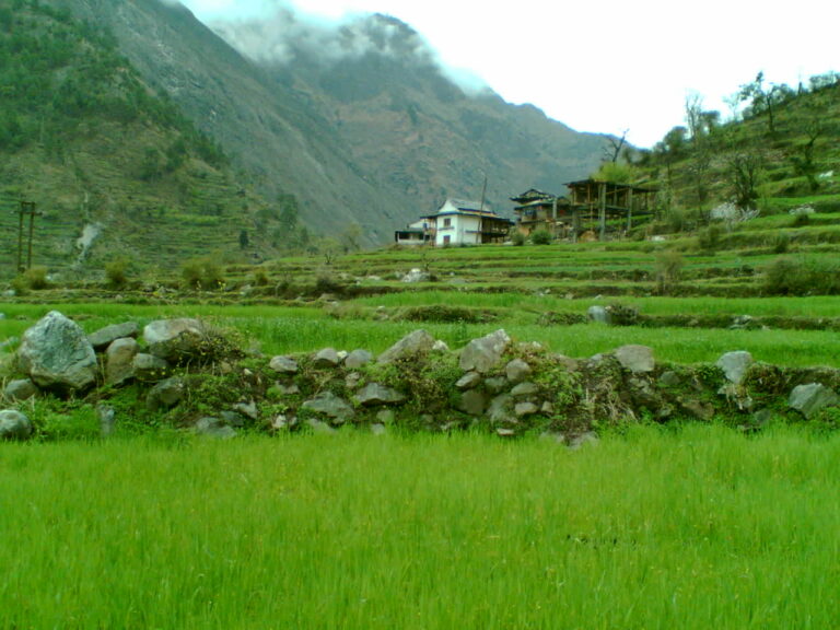 Barot Valley Kasol Manikarn Tirthan Valley Package 6Night /7Days