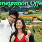 Kashmir Honeymoon package by car 5Night/6Days