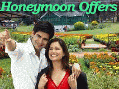 Shimla Honeymoon Packages